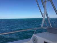 Great day of scuba diving in Key Largo with Rainbow Reef on spiegel grove tropical odyssey 2018 03 22 r5649 1