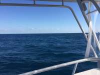 Great day of scuba diving in Key Largo with Rainbow Reef on spiegel grove tropical odyssey 2018 03 24 r5664 1