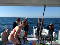 Great day of scuba diving in Key Largo with Rainbow Reef on uscgc duane tropical explorer 2018 03 26 r5688 1