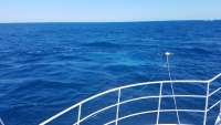 Great day of scuba diving in Key Largo with Rainbow Reef on uscgc duane tropical odyssey 2018 03 05 r5518 1