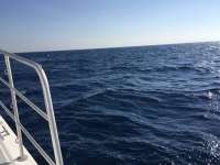 Great day of scuba diving in Key Largo with Rainbow Reef on uscgc duane tropical odyssey 2018 03 26 r5684 1