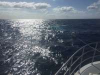 Great day of scuba diving in Key Largo with Rainbow Reef on uscgc duane tropical odyssey 2018 03 30 r5692 1