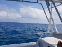 Great day of scuba diving in Key Largo with Rainbow Reef on winch hole tropical odyssey 2018 03 11 r5571 1