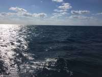 Great day of scuba diving in Key Largo with Rainbow Reef on winch hole tropical voyager 2018 03 24 r5663 1