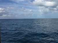 Great day of scuba diving in Key Largo with Rainbow Reef on winch hole tropical voyager 2018 03 31 r5705 1
