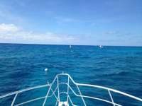 Great day of scuba diving in Key Largo with Rainbow Reef on benwood wreck tropical adventure 2018 05 06 r5920 1