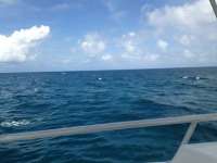 Great day of scuba diving in Key Largo with Rainbow Reef on benwood wreck tropical legend 2018 05 16 r5973 1