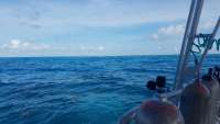 Great day of scuba diving in Key Largo with Rainbow Reef on christmastree cave tropical legend 2018 05 06 r5918 1