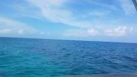 Great day of scuba diving in Key Largo with Rainbow Reef on conch wall tropical odyssey 2018 05 16 r5975 1