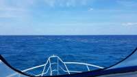 Great day of scuba diving in Key Largo with Rainbow Reef on drift french tropical adventure 2018 05 09 r5942 1
