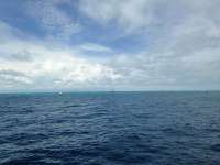 Great day of scuba diving in Key Largo with Rainbow Reef on drift molasses tropical voyager 2018 05 18 r5980 1