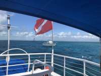 Great day of scuba diving in Key Largo with Rainbow Reef on eagle ray alley tropical adventure 2018 05 05 r5914 1