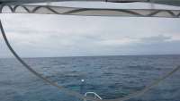 Great day of scuba diving in Key Largo with Rainbow Reef on eagle ray alley tropical legend 2018 05 13 r5964 1