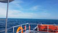 Great day of scuba diving in Key Largo with Rainbow Reef on eagle ray alley tropical legend 2018 05 14 r5965 1