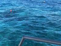 Great day of scuba diving in Key Largo with Rainbow Reef on eagle ray alley tropical odyssey 2018 05 06 r5923 1