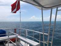 Great day of scuba diving in Key Largo with Rainbow Reef on eagle ray alley tropical odyssey 2018 05 08 r5936 1