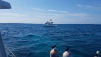 Great day of scuba diving in Key Largo with Rainbow Reef on eagle ray alley tropical voyager 2018 05 09 r5940 1
