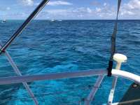 Great day of scuba diving in Key Largo with Rainbow Reef on fire coral cave tropical adventure 2018 05 05 r5915 1