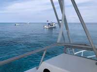 Great day of scuba diving in Key Largo with Rainbow Reef on fire coral cave tropical legend 2018 05 07 r5929 1