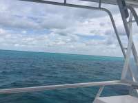 Great day of scuba diving in Key Largo with Rainbow Reef on fire coral cave tropical legend 2018 05 10 r5945 1