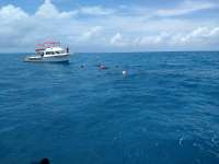 Great day of scuba diving in Key Largo with Rainbow Reef on french reef tropical adventure 2018 05 31 r6019 1