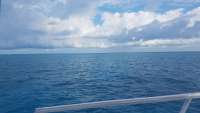 Great day of scuba diving in Key Largo with Rainbow Reef on french reef tropical legend 2018 05 08 r5931 1