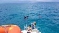 Great day of scuba diving in Key Largo with Rainbow Reef on french reef tropical legend 2018 05 14 r5966 1