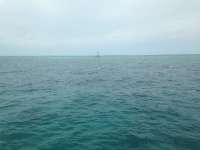 Great day of scuba diving in Key Largo with Rainbow Reef on molasses reef tropical adventure 2018 05 12 r5956 1