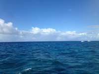 Great day of scuba diving in Key Largo with Rainbow Reef on molasses reef tropical legend 2018 05 05 r5911 1