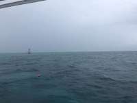 Great day of scuba diving in Key Largo with Rainbow Reef on molasses reef tropical legend 2018 05 19 r5985 1