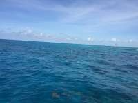 Great day of scuba diving in Key Largo with Rainbow Reef on north star tropical voyager 2018 05 06 r5919 1