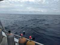 Great day of scuba diving in Key Largo with Rainbow Reef on pickles reef tropical adventure 2018 05 11 r5949 1