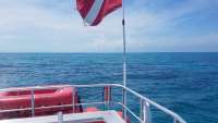 Great day of scuba diving in Key Largo with Rainbow Reef on pickles reef tropical odyssey 2018 05 31 r6020 1