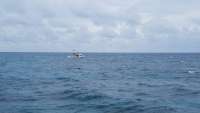 Great day of scuba diving in Key Largo with Rainbow Reef on spanish anchor tropical adventure 2018 05 25 r5999 1