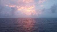 Great day of scuba diving in Key Largo with Rainbow Reef on spanish anchor tropical legend 2018 05 24 r5998 1