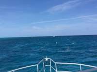 Great day of scuba diving in Key Largo with Rainbow Reef on spanish anchor tropical odyssey 2018 05 09 r5943 1