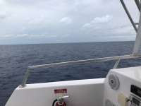 Great day of scuba diving in Key Largo with Rainbow Reef on spiegel grove tropical odyssey 2018 05 12 r5957 1