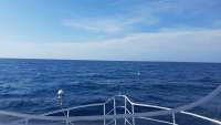 Great day of scuba diving in Key Largo with Rainbow Reef on spiegel grove tropical odyssey 2018 05 16 r5972 1