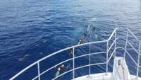 Great day of scuba diving in Key Largo with Rainbow Reef on uscgc duane tropical odyssey 2018 05 07 r5925 1