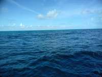 Great day of scuba diving in Key Largo with Rainbow Reef on benwood wreck tropical destiny 2018 11 06 r7428 1