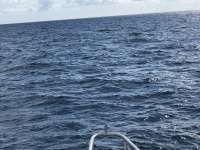 Great day of scuba diving in Key Largo with Rainbow Reef on benwood wreck tropical legend 2018 11 11 r7457 1