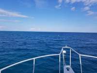 Great day of scuba diving in Key Largo with Rainbow Reef on benwood wreck tropical serenity 2018 11 21 r7508 1