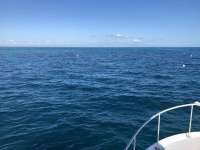 Great day of scuba diving in Key Largo with Rainbow Reef on christ statue santana 2018 11 10 r7444 1