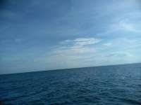 Great day of scuba diving in Key Largo with Rainbow Reef on christmastree cave tropical adventure 2018 11 08 r7435 1