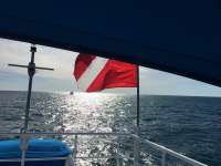 Great day of scuba diving in Key Largo with Rainbow Reef on christmastree cave tropical adventure 2018 11 28 r7552 1