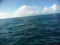 Great day of scuba diving in Key Largo with Rainbow Reef on christmastree cave tropical serenity 2018 11 15 r7473 1
