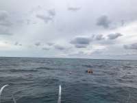 Great day of scuba diving in Key Largo with Rainbow Reef on double north tropical adventure 2018 11 30 r7561 1