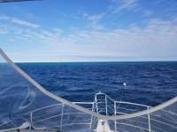 Great day of scuba diving in Key Largo with Rainbow Reef on eagle ray alley tropical legend 2018 11 16 r7475 1
