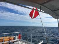 Great day of scuba diving in Key Largo with Rainbow Reef on french twist santana 2018 11 24 r7525 1