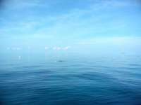 Great day of scuba diving in Key Largo with Rainbow Reef on hole in the wall tropical legend 2018 11 26 r7542 1